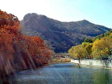 新澳门二四六天天开奖，七彩山鸡苗价格